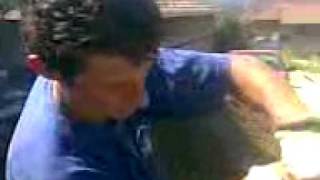 Zitoradja Zuja Jp Direkcija