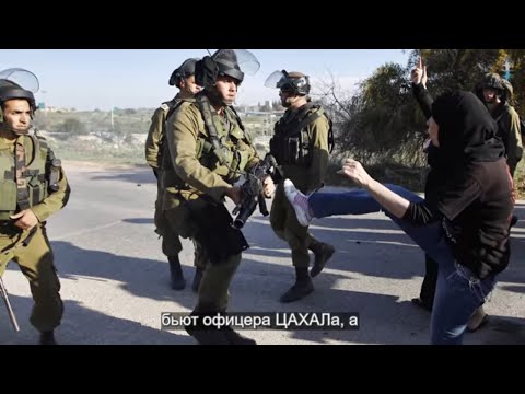 Video: Globala Konflikter: Palestina