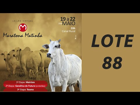 LOTE 88