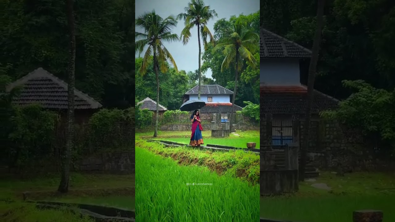 Gramin Beautiful Nature🍁🍁🍁