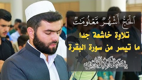 الْحَجُّ أَشْهُرٌ مَّعْلُومَاتٌ - تلاوة رائعة جدا في الصلاة الجمعة للقارئ بيشةوا قادر الكردى