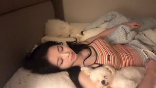 Download Lagu (New) Sleep Stream Ep 10 MP3