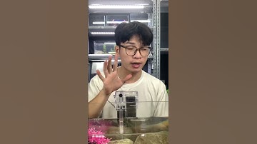 Hướng Dẫn Sử Dụng Lọc Thác Mini Cho Bể Cá Để Đạt Hiệu Quả Tối Ưu