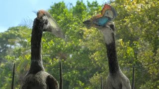 Prehistoric Planet Season 2 - Hatzegopteryx mating display - clip