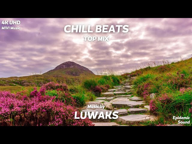 Luwaks Top Mix - Chill Beats | 4K | Epidemic Sound | MIVI Music class=