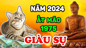 Tử Vi Tuổi Ất Mão 1975 Năm 2024: Được Nam Tào Che Chở, Đổi Đời Giàu Sang Sung Sướng | LPTV