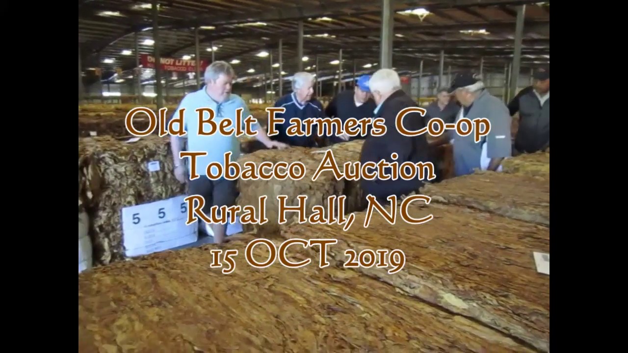 Old Belt Farmers Co-op tobacco Auction