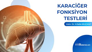 Karaciğer Fonksiyon Testlerine Yaklaşım (TÜM KLİNİK KORELASYONLARLA)