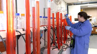 ERIC lab | UW Oshkosh