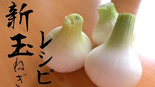 【新玉ねぎレシピ】この時期だけの新玉レシピ4選!