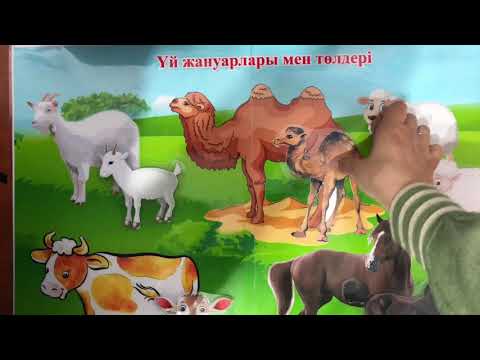 Бейне: Үй жануарларына арналған саяхат