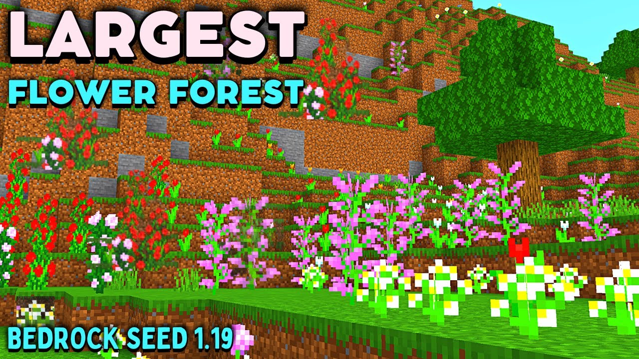 Minecraft Bedrock Biggest Flower Forest