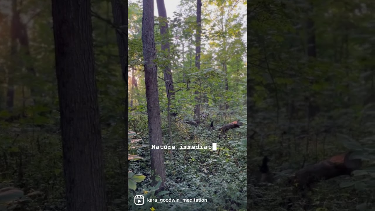 Nature