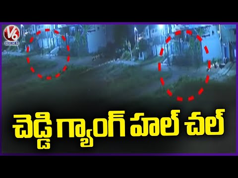 Cheddi Gang Tries To Robbery In Mancherial | Police Issue Public Alert | V6 News - V6NEWSTELUGU