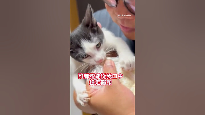【不要搶我饅頭！】貪吃貓緊抓饅頭不放 爸：那是我的欸…｜#寵物雲 #shorts