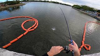 I get a STRIKE on every cast, but the fish WON’T hook!