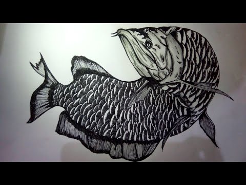  extremeartistdrawing seamonstet art how to draw a albino 
