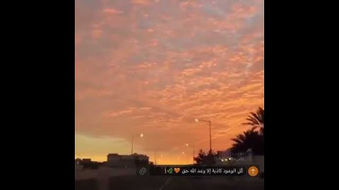 ونبئهم عن ضيف إبراهيم القارئ: هزاع البلوشي