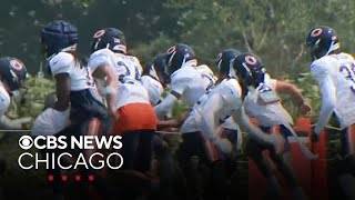 Practice gets physical at Bears training camp