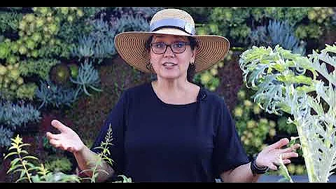 Planting Vegetables in Fall with Sarah Smith