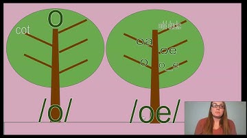 2nd Grade CKLA Skills - Unit 3 Lesson 6 Spelling Alternatives: The /oe/ Sound and Its Spellings