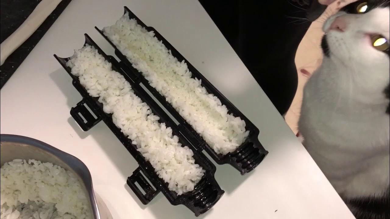 Easiest Sushi Ever!? Sushi Bazooka Demo 