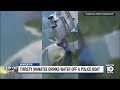 Manatee takes a sip from Bradenton police boat
