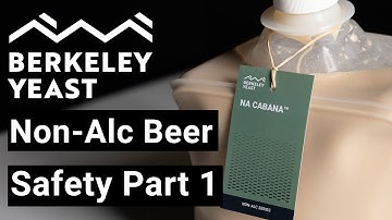 Make Safe Non-Alcoholic Beer - Part 1 of 2 - by Berkeley Yeast
