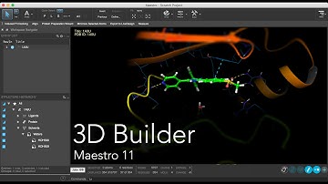 Maestro 11 - 3D Builder