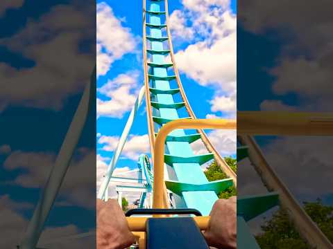 Would you ride