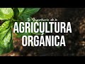 UNA ESPERANZA PARA EL SUELO, LA AGRICULTURA ORGÁNICA | Jairo Restrepo Rivera