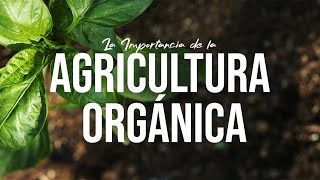 Una Esperanza Para El Suelo La Agricultura Orgánica Jairo Restrepo Rivera