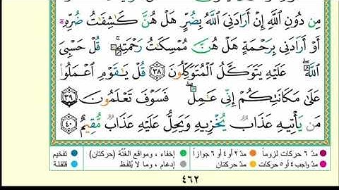 سورة الزمر كاملة مكتوبة بصوت القارئ الشيخ هيثم الدخين