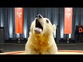 Slack &amp; Salesforce Super Bowl LX Ad with MrBeast