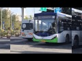 Buses of Egged bus Cooperative, Dan and Kavim in Tel Aviv, Rishon LeZion and Bat Yam