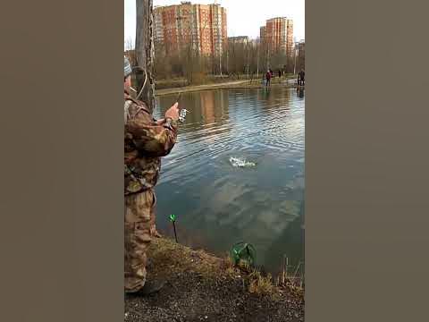 Волжанка Стилет 0.5-5 - YouTube