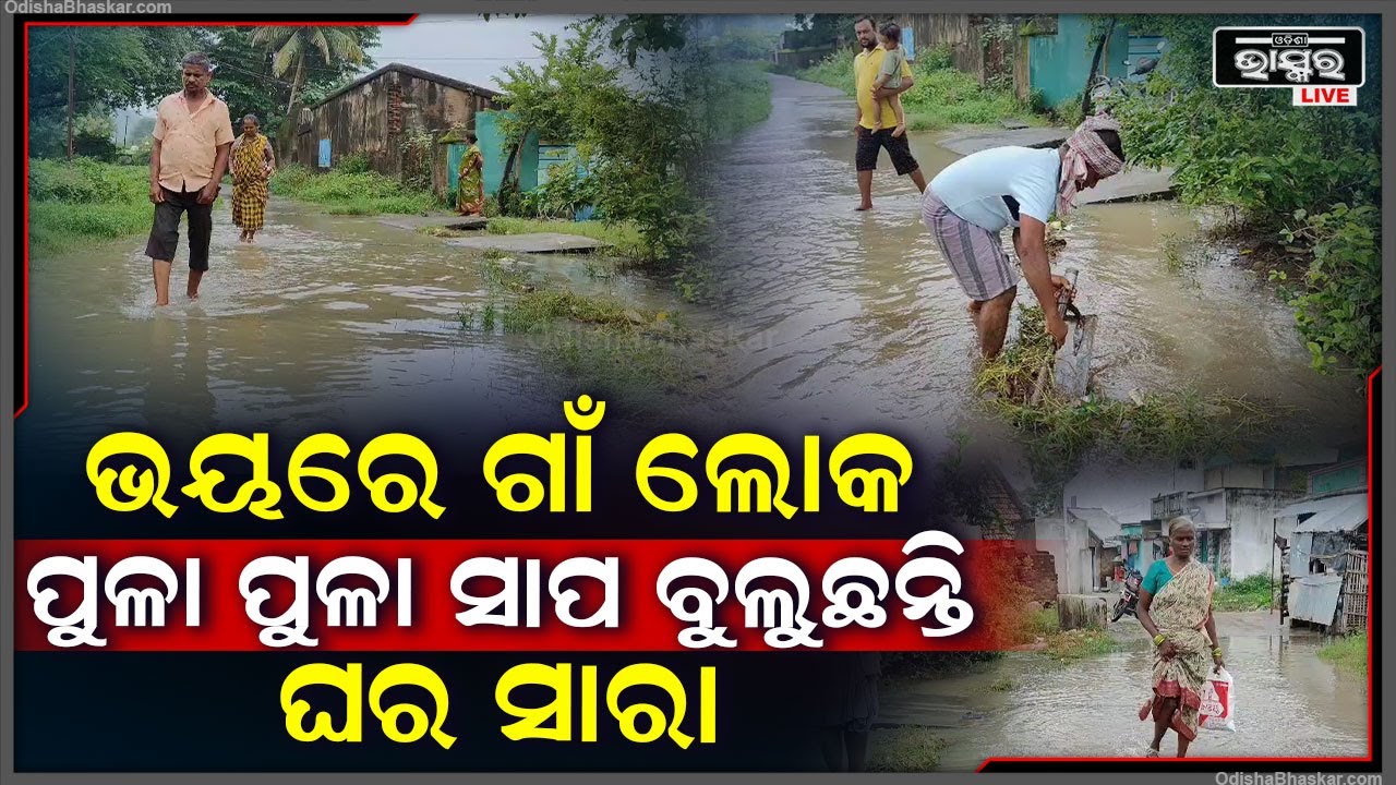 ଅସରାଏ ବର୍ଷାରେ ଜଳବନ୍ଦୀ ହେଉଛନ୍ତି ଲୋକେ, ସାପ କାମୁଡ଼ାରେ ଜୀବନ ଯିବା ପରେ ବି ଚେତୁନି ପ୍ରଶାସନ, ଅସନ୍ତୋଷ ଲୋକେ
