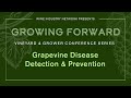 Growing Forward: Grapevine Disease Detection &amp; Prevention