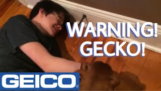 Warning! Gecko! - GEICO Commercial Parody