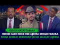 Horiin Illee Horii Hin Ajjeesu Oromoo Warra Sirna Minilik Debisuuf Dhama Aniif Jecha Maaliif Ajjesa Horiin Illee Horii Hin Ajjeesu Oromoo Warra Sirna Minilik Debisuuf Dhama Aniif Jecha Maaliif Ajjesa