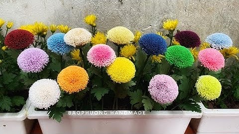 HD làm cúc Pingpong giấy nhún| How to make Pingpong Chrysanthemum by crepe paper| BAOPHUONG HANDMADE