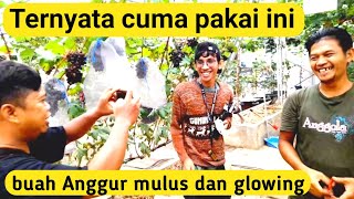 Pakai apa sih kok buah anggurnya mulus dan glowing ❓❓