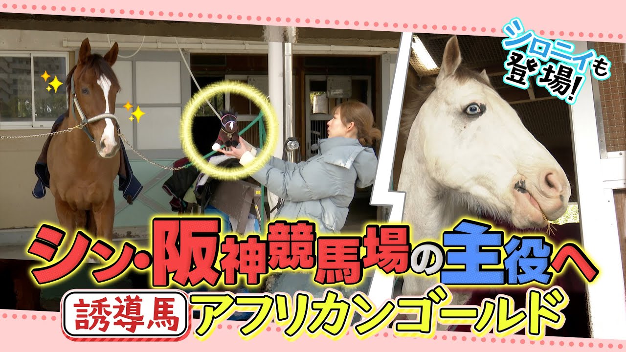 金属製馬の親子オブジェ人形真鍮製？検索北海道優駿競走馬馬