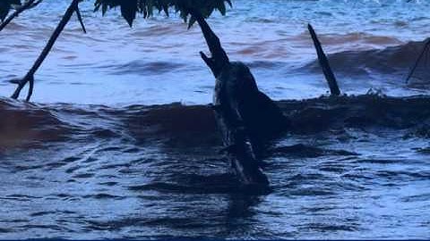 Hathanh TiengSongHuong PhamDinhChuong Liennhu