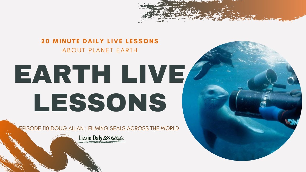 Earth LIVE Lesson with Doug Allan : The World of Seals