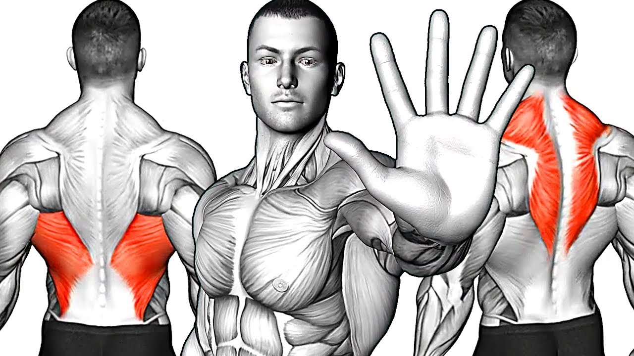 ��������� 250 ������: ����.