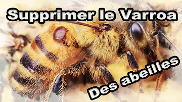 Qu'est-ce que le Varois ?