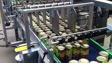 Sotemapack WA 20 wrap around case packer - canned goods