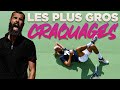 Cassages de raquettes insultes les plus gros craquages de benoit paire 