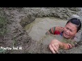 Survival Skills : Fell Into A Mud Pit - Skills Fishing Mud And Cooking Fish Eating Delicious